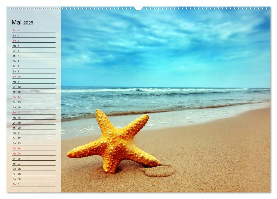 Traumstrände (CALVENDO Wandkalender 2026)