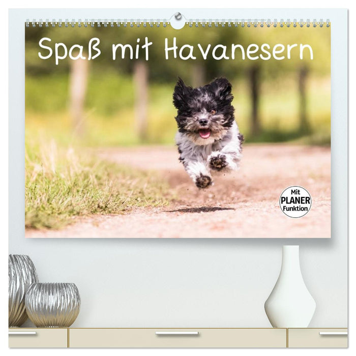 Spaß mit Havanesern (CALVENDO Premium Wandkalender 2026)