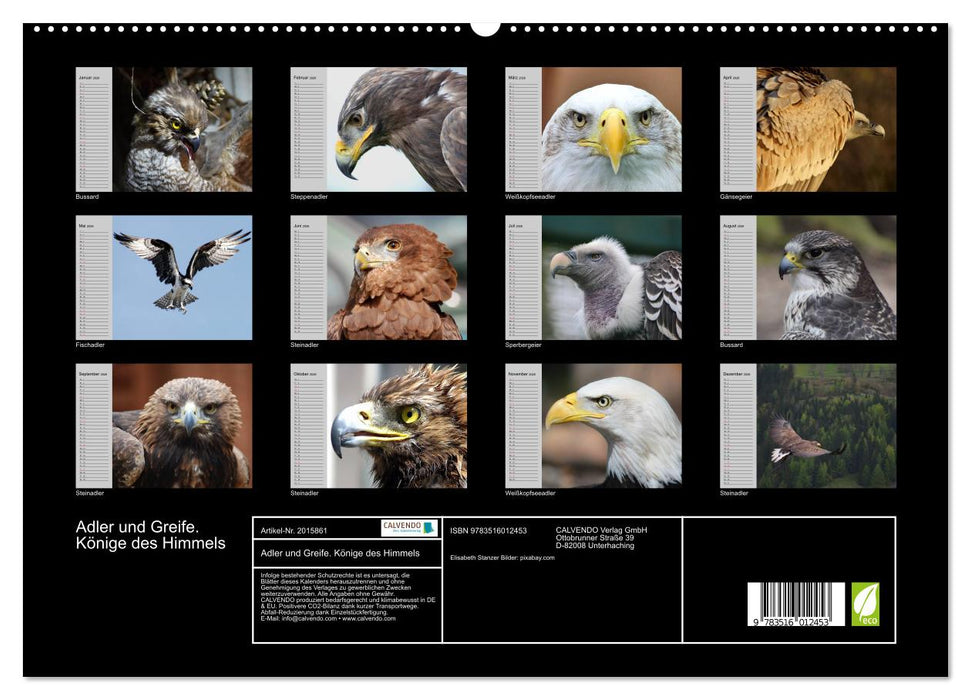 Adler und Greife. Könige des Himmels (CALVENDO Premium Wandkalender 2026)