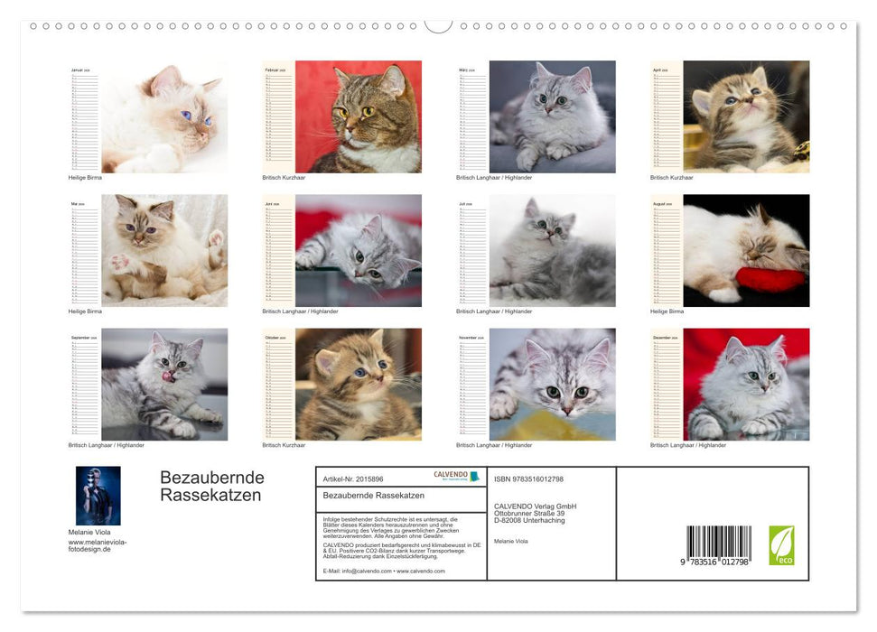 Bezaubernde Rassekatzen (CALVENDO Premium Wandkalender 2026)