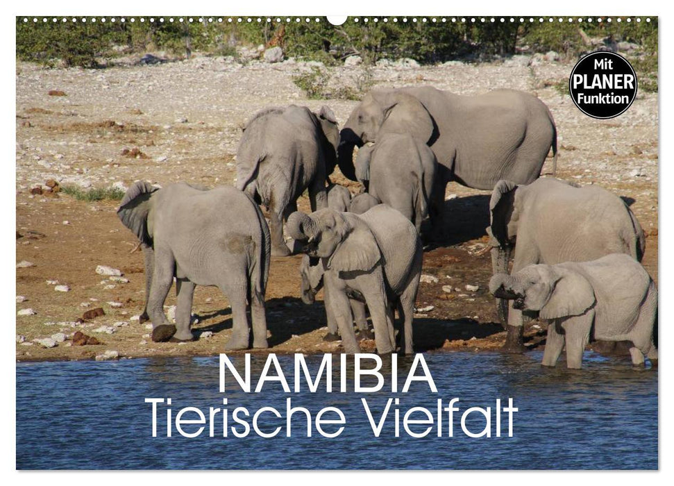 Namibia - Tierische Vielfalt (Planer) (CALVENDO Wandkalender 2026)