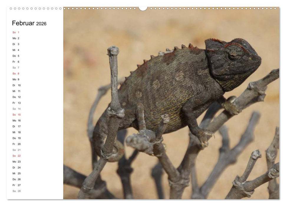 Namibia - Tierische Vielfalt (Planer) (CALVENDO Wandkalender 2026)