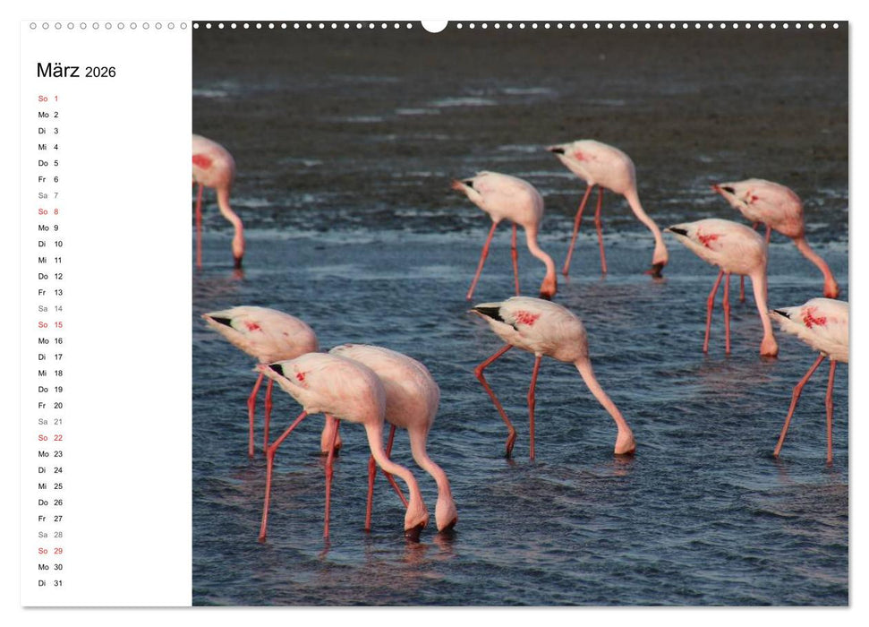 Namibia - Tierische Vielfalt (Planer) (CALVENDO Wandkalender 2026)