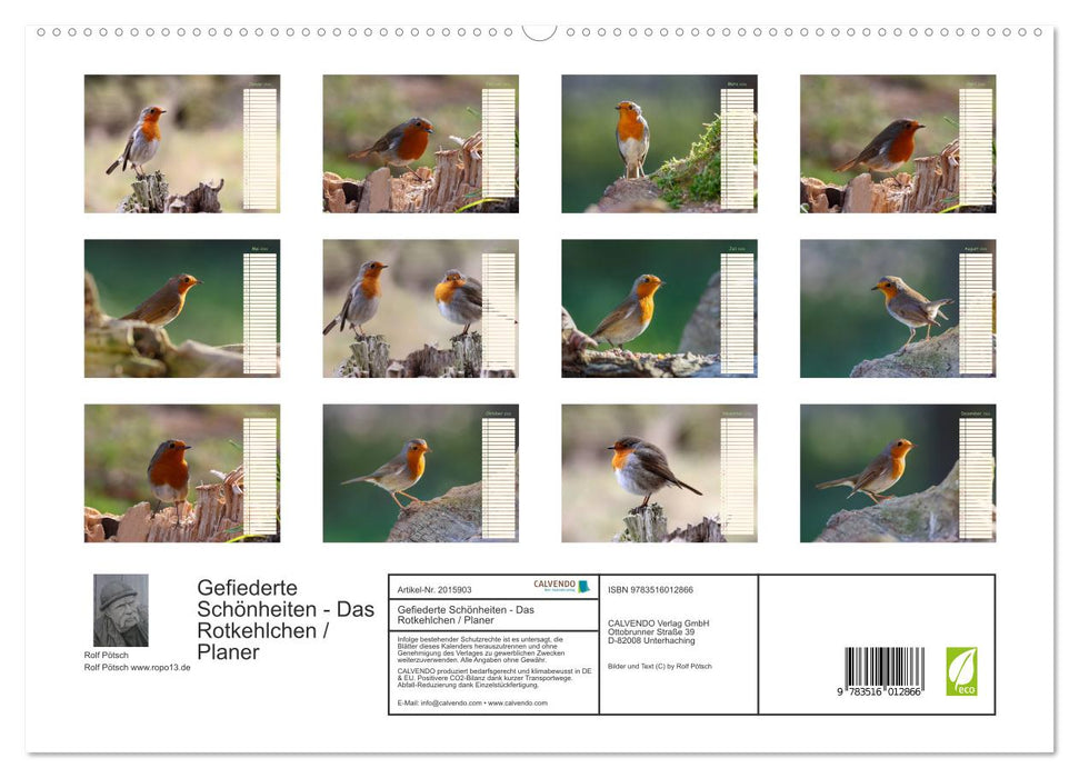 Gefiederte Schönheiten - Das Rotkehlchen / Planer (CALVENDO Premium Wandkalender 2026)