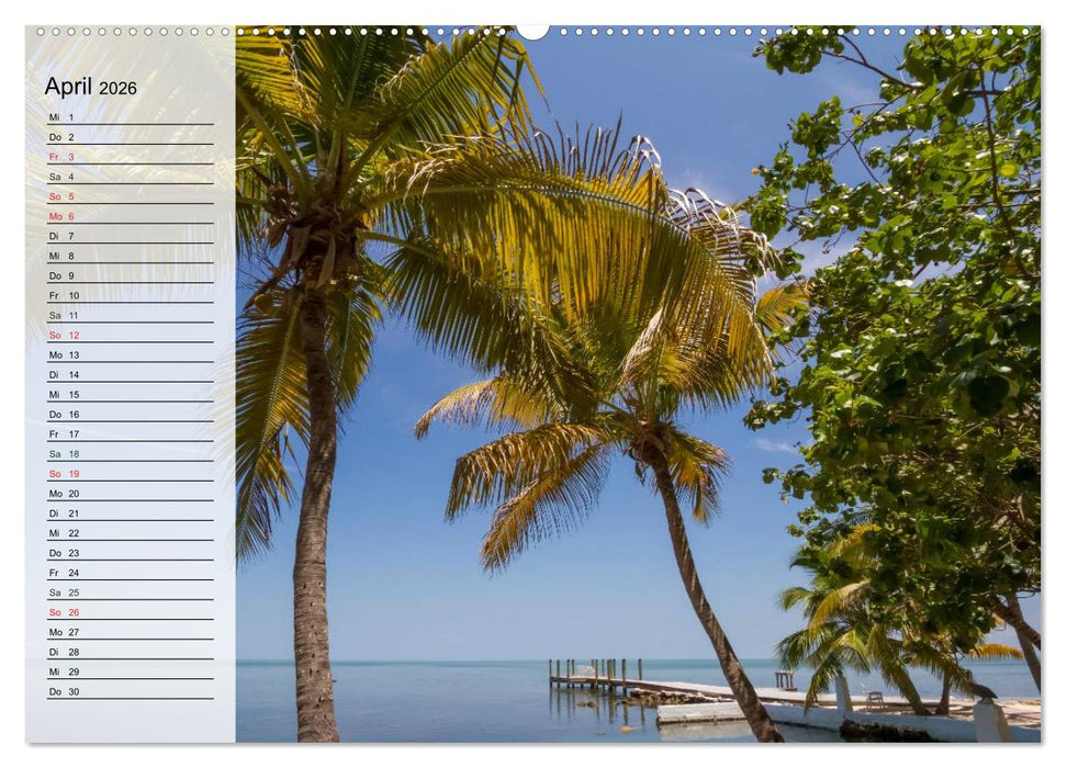 FLORIDA Idyllischer Sonnenscheinstaat (CALVENDO Premium Wandkalender 2026)