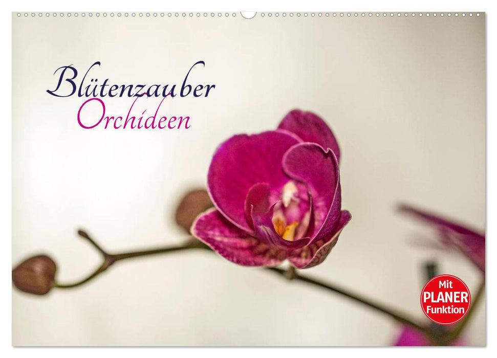 Blütenzauber Orchideen (CALVENDO Wandkalender 2026)
