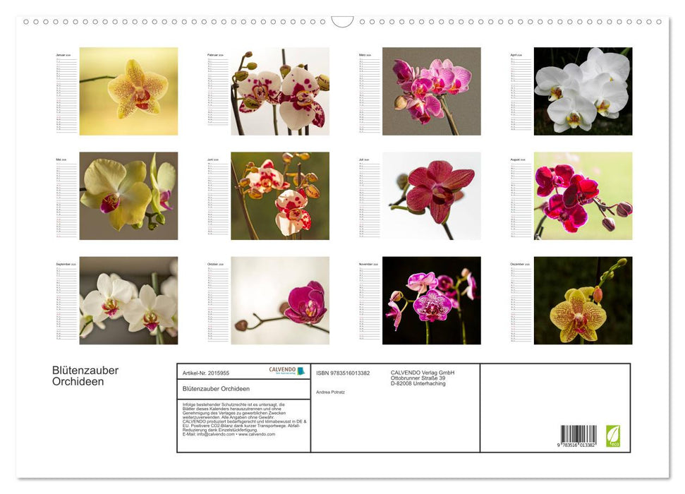Blütenzauber Orchideen (CALVENDO Wandkalender 2026)