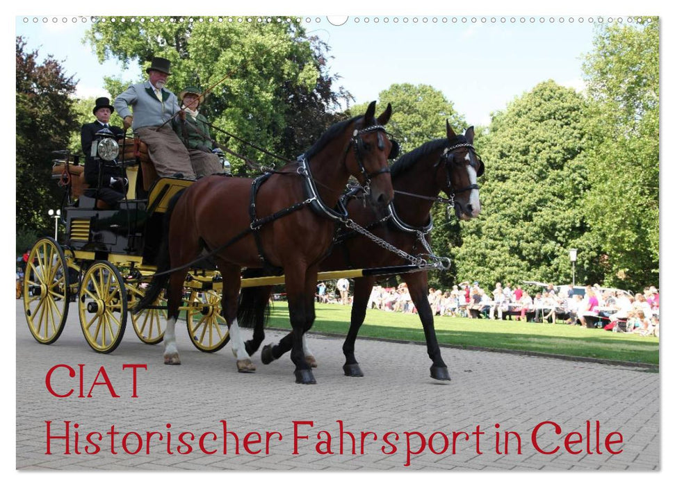 CIAT - Historischer Fahrsport in Celle (CALVENDO Wandkalender 2026)
