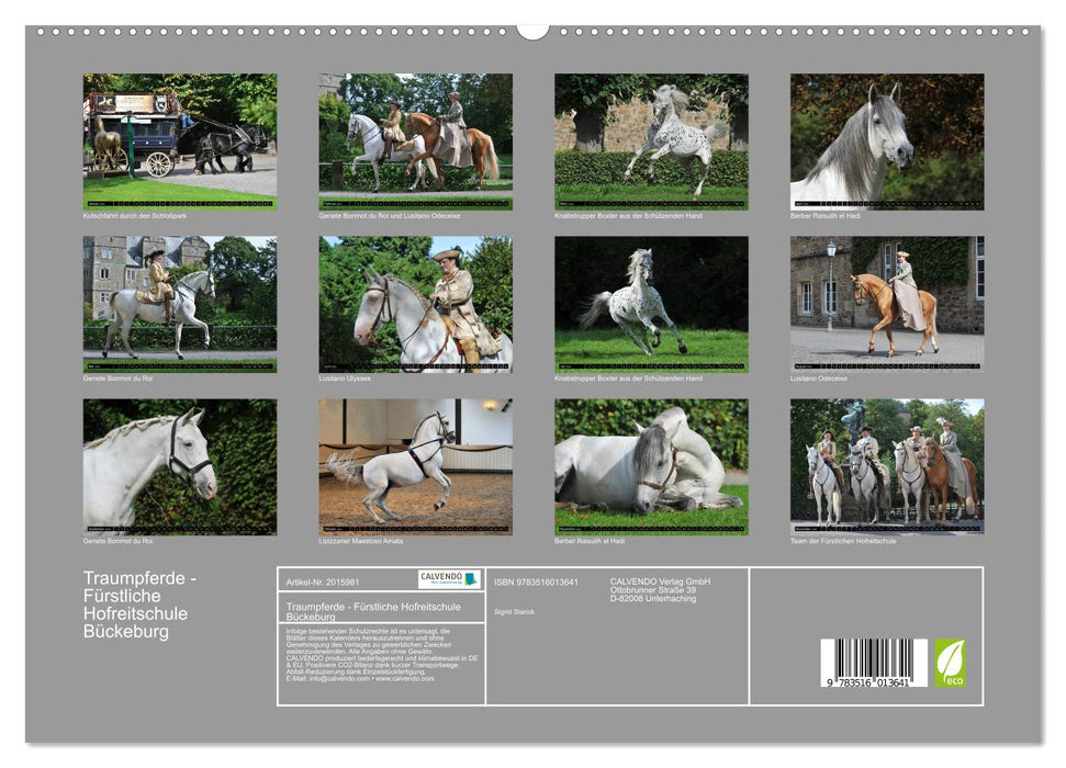 Traumpferde - Fürstliche Hofreitschule Bückeburg (CALVENDO Premium Wandkalender 2026)