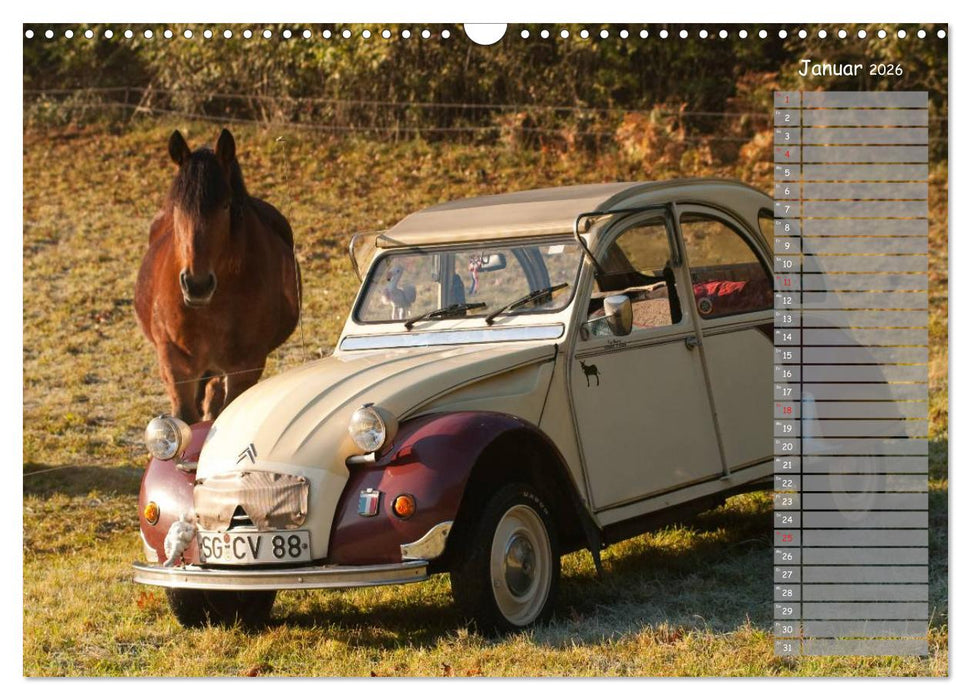 Kultautomobil Ente Citroën 2CV (CALVENDO Wandkalender 2026)