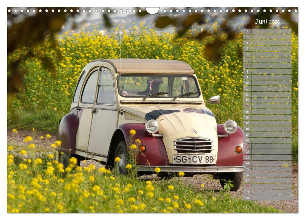 Kultautomobil Ente Citroën 2CV (CALVENDO Wandkalender 2026)