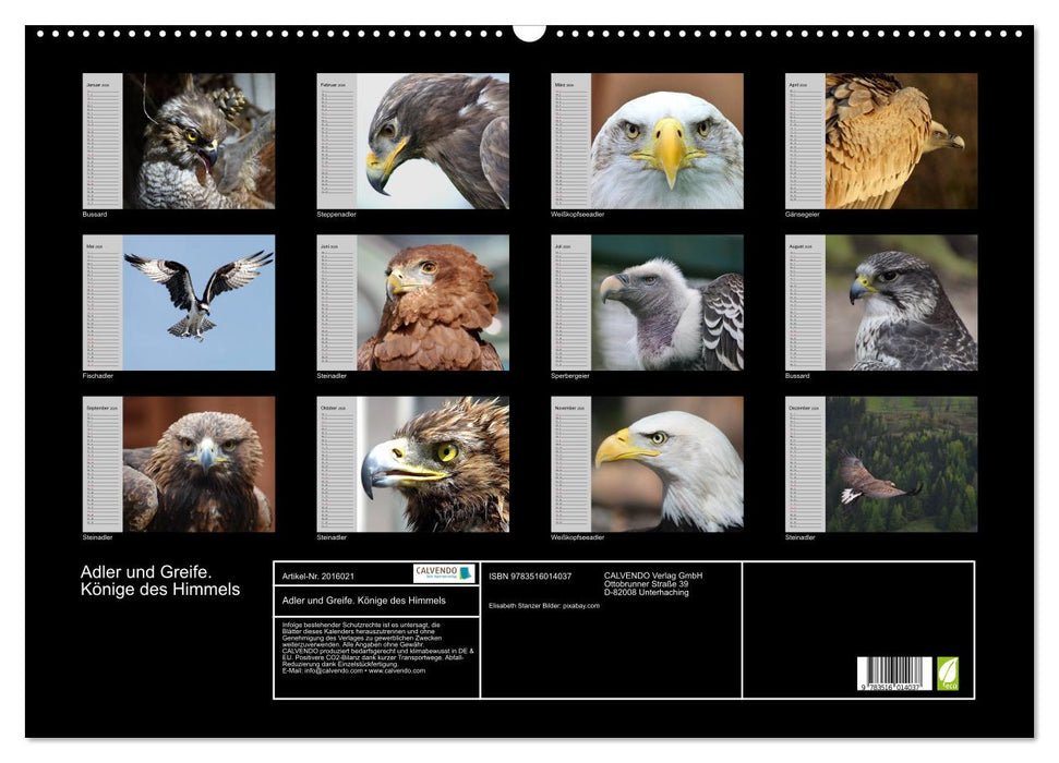 Adler und Greife. Könige des Himmels (CALVENDO Wandkalender 2026)