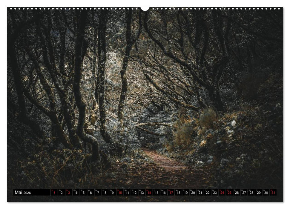 Madeira - Eine Perle des Atlantiks (CALVENDO Premium Wandkalender 2026)