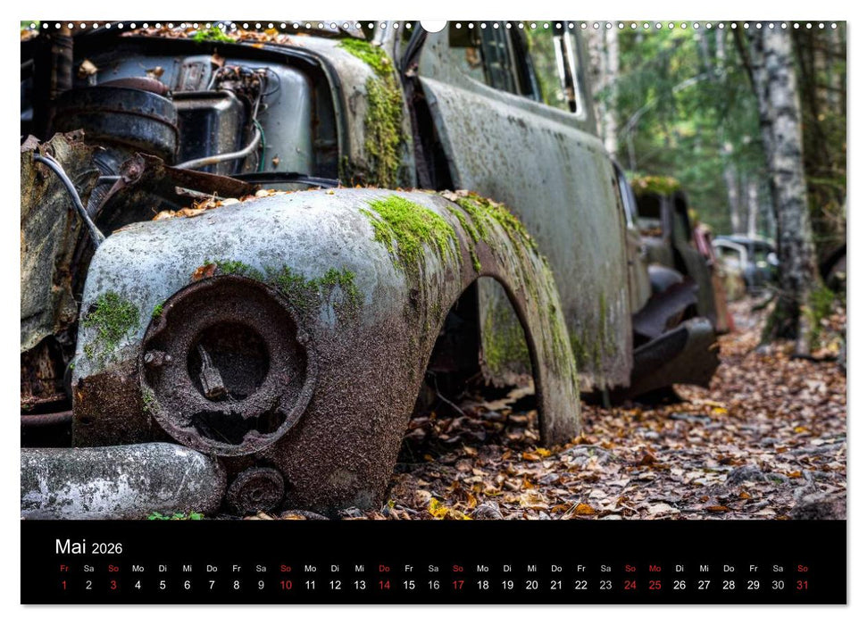 Autos, abgestellt und vergessen (CALVENDO Premium Wandkalender 2026)