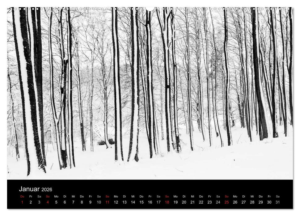 Gesehen auf - Rügen und Hiddensee (CALVENDO Premium Wandkalender 2026)