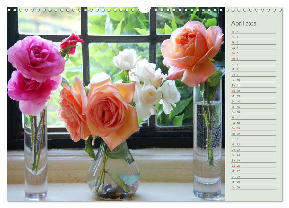 Rosen, Rosen ... arrangiert und am Strauch (CALVENDO Wandkalender 2026)