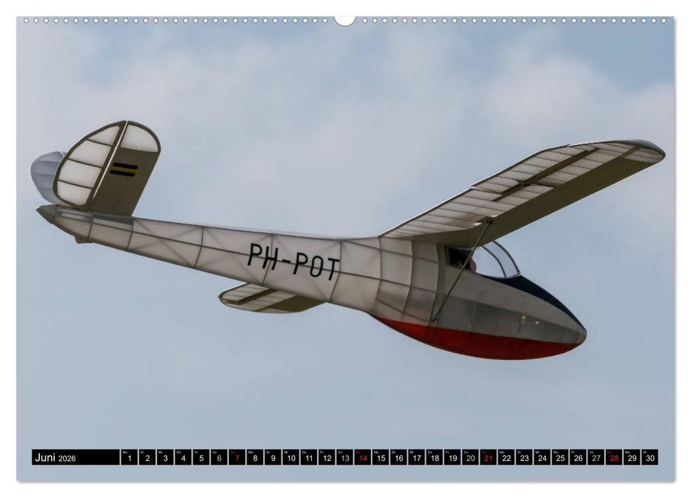 Modellflugkalender 2026 (CALVENDO Premium Wandkalender 2026)