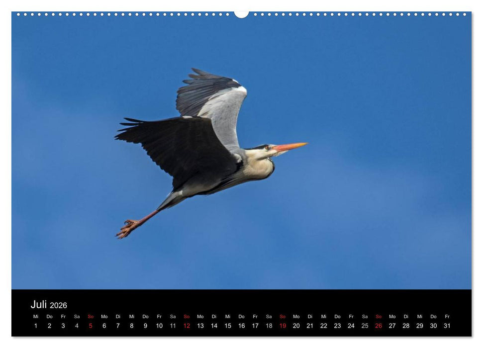 Wilde Heimat (CALVENDO Premium Wandkalender 2026)