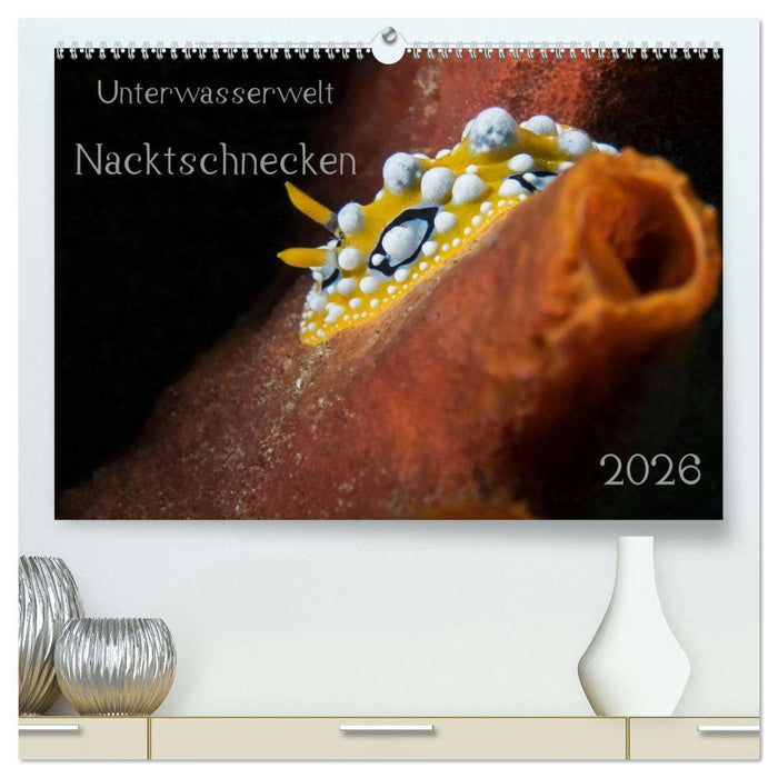 Unterwasserwelt Nacktschnecken (CALVENDO Premium Wandkalender 2026)