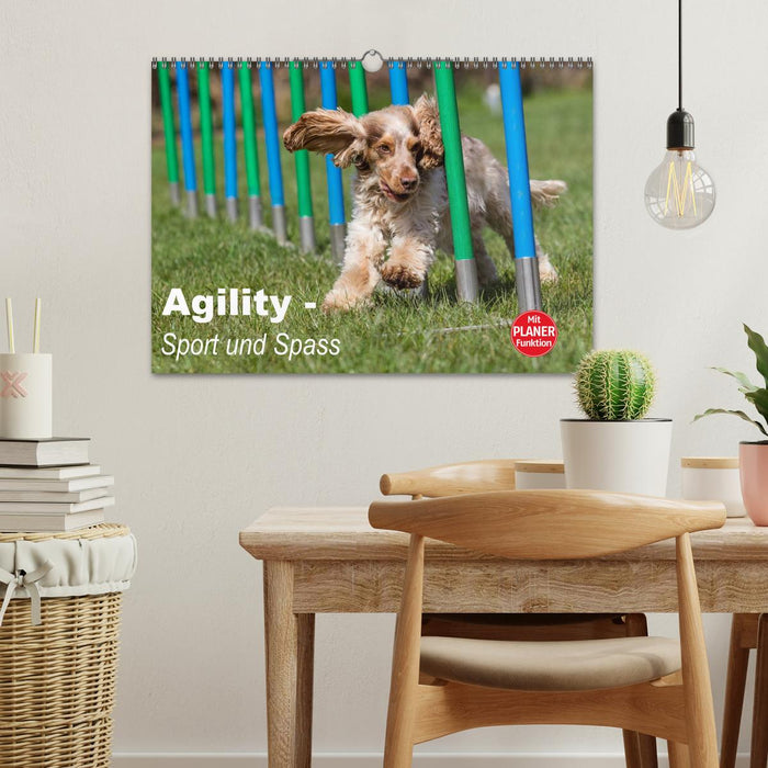 Agility - Sport und Spass (CALVENDO Wandkalender 2026)
