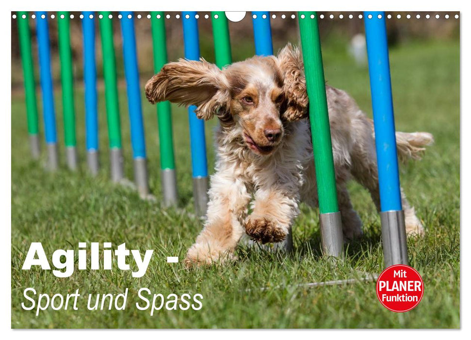 Agility - Sport und Spass (CALVENDO Wandkalender 2026)