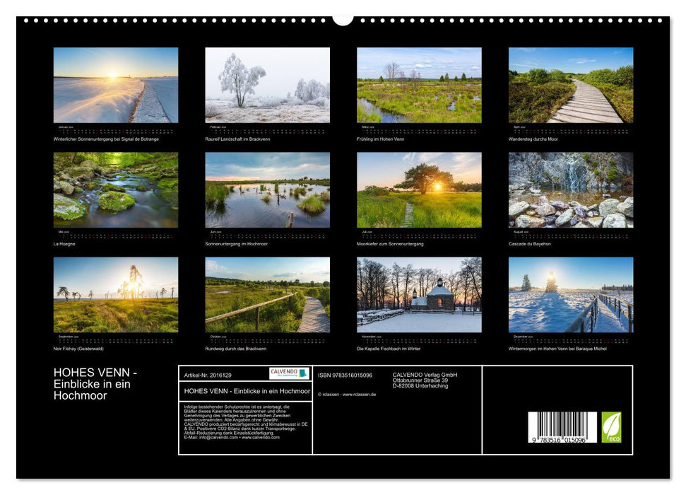 HOHES VENN - Einblicke in ein Hochmoor (CALVENDO Premium Wandkalender 2026)