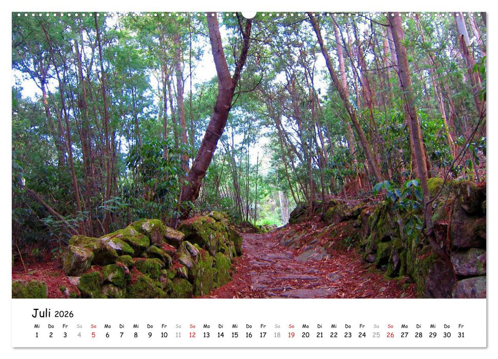 Jakobsweg - Camino Portugues (CALVENDO Premium Wandkalender 2026)
