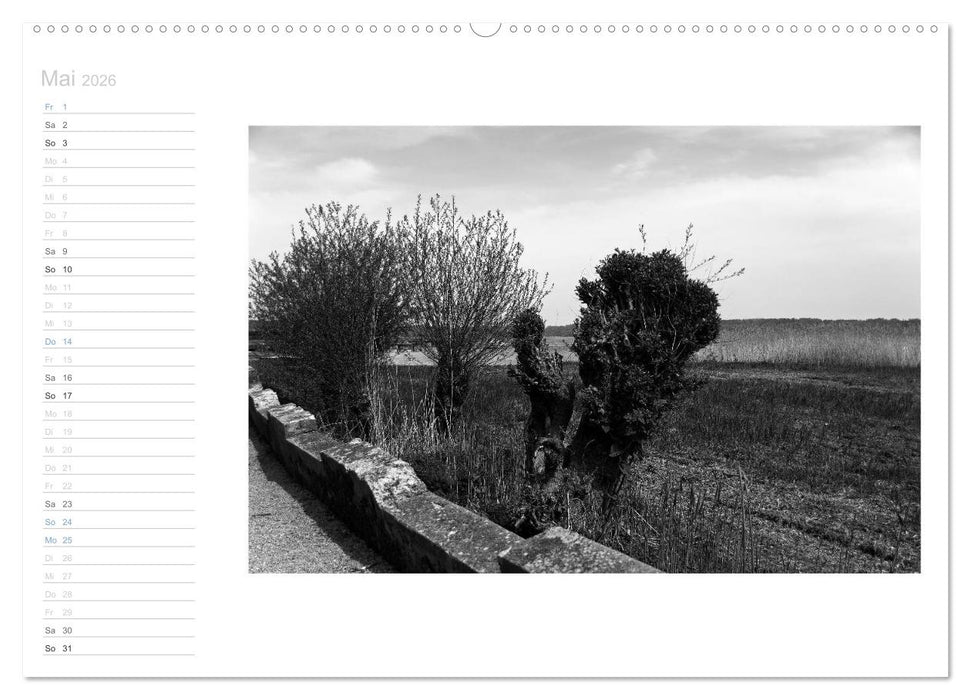 Bilder vom See (CALVENDO Wandkalender 2026)