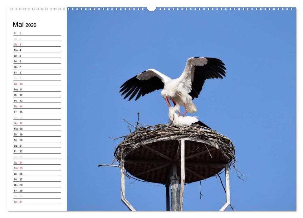 Crailsheim - Stimmungsvolle Momente (CALVENDO Wandkalender 2026)