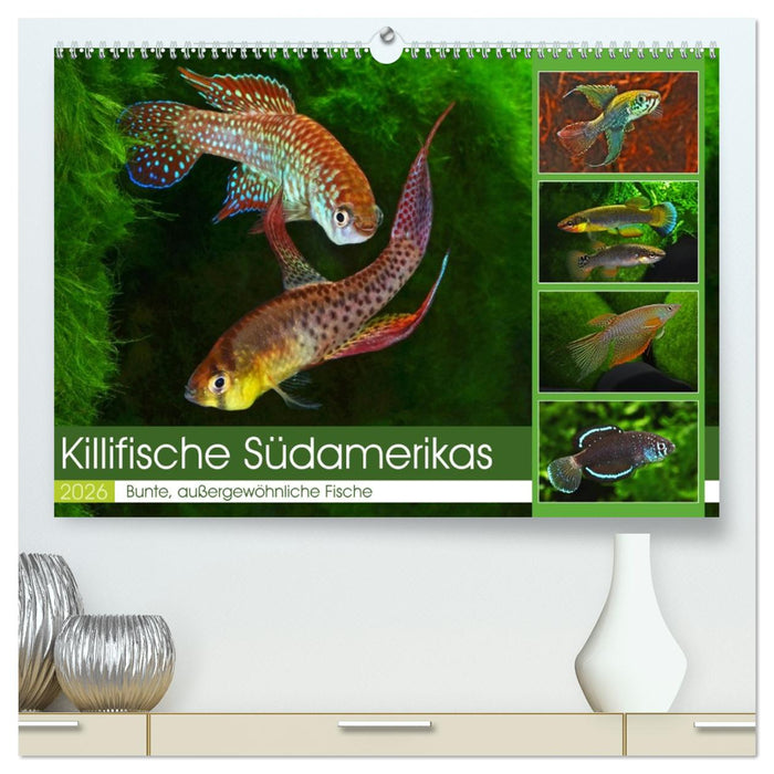 Killifische Südamerikas (CALVENDO Premium Wandkalender 2026)