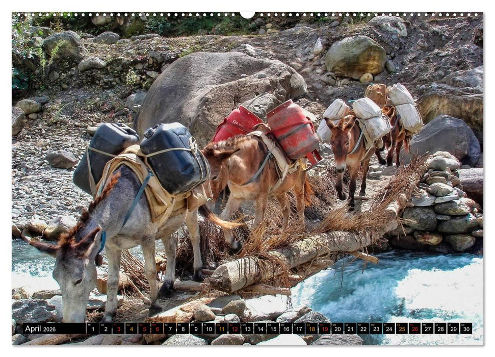 Nepal - das Dach der Welt (CALVENDO Premium Wandkalender 2026)