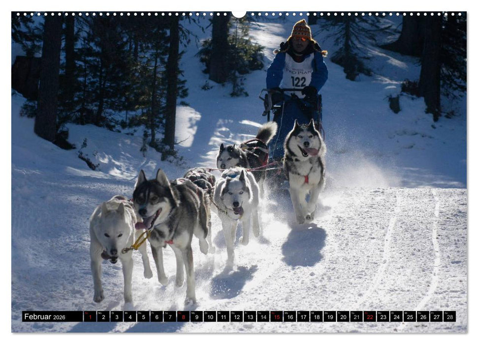 Aktiv rund um die Welt (CALVENDO Premium Wandkalender 2026)