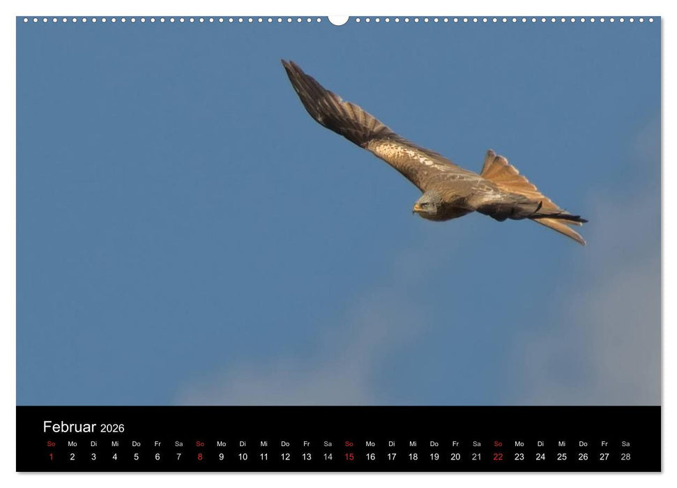 Wilde Heimat (CALVENDO Wandkalender 2026)