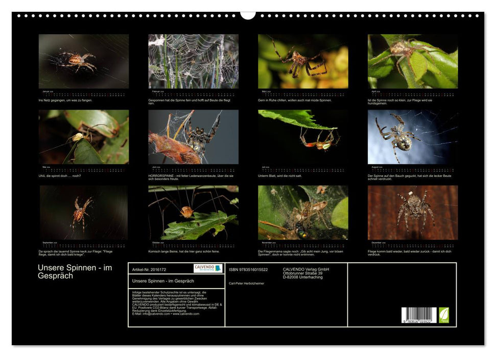 Unsere Spinnen - im Gespräch (CALVENDO Wandkalender 2026)