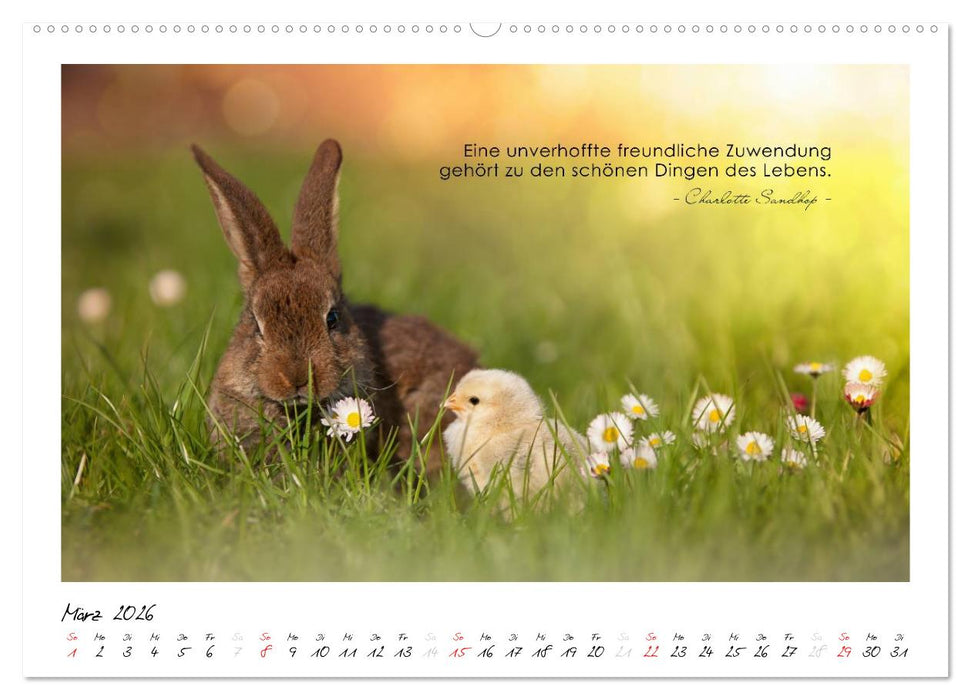 Mit guten Gedanken durch das Jahr (CALVENDO Premium Wandkalender 2026)