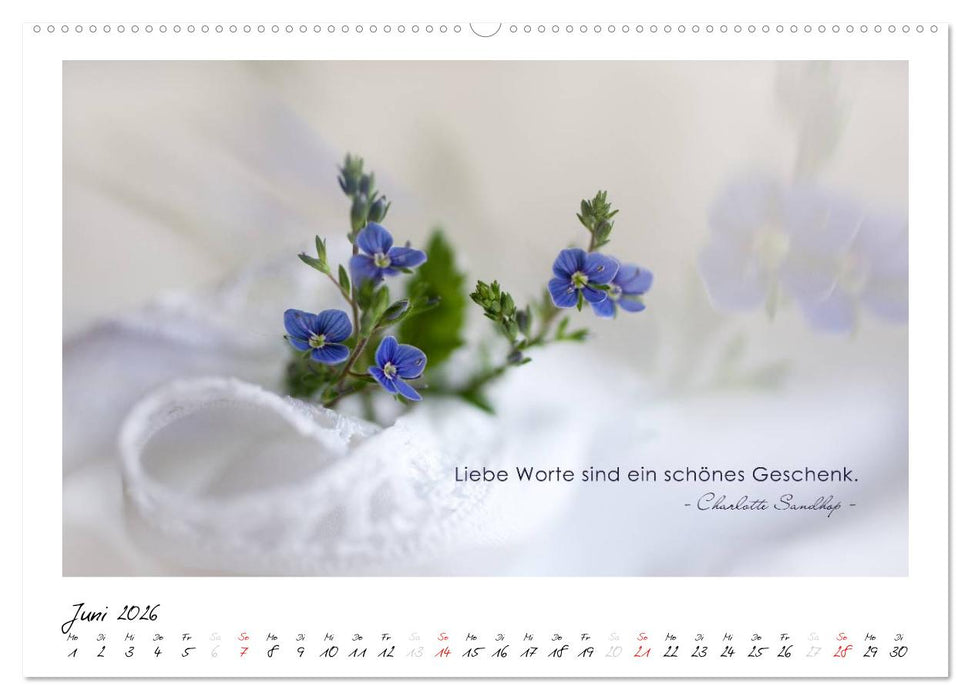 Mit guten Gedanken durch das Jahr (CALVENDO Premium Wandkalender 2026)