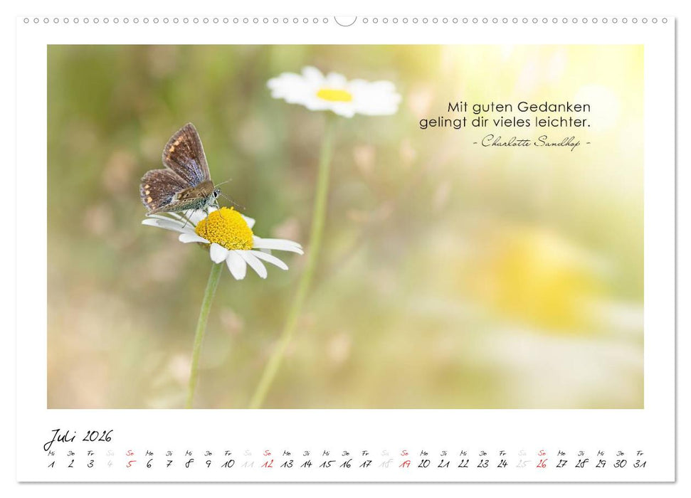 Mit guten Gedanken durch das Jahr (CALVENDO Premium Wandkalender 2026)