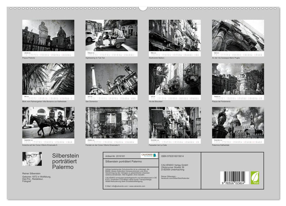 Silberstein porträtiert Palermo (CALVENDO Premium Wandkalender 2026)