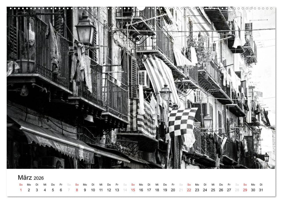 Silberstein porträtiert Palermo (CALVENDO Premium Wandkalender 2026)