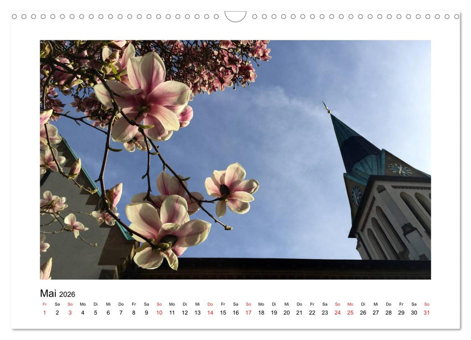 Weingarten und Umgebung 2026 (CALVENDO Wandkalender 2026)