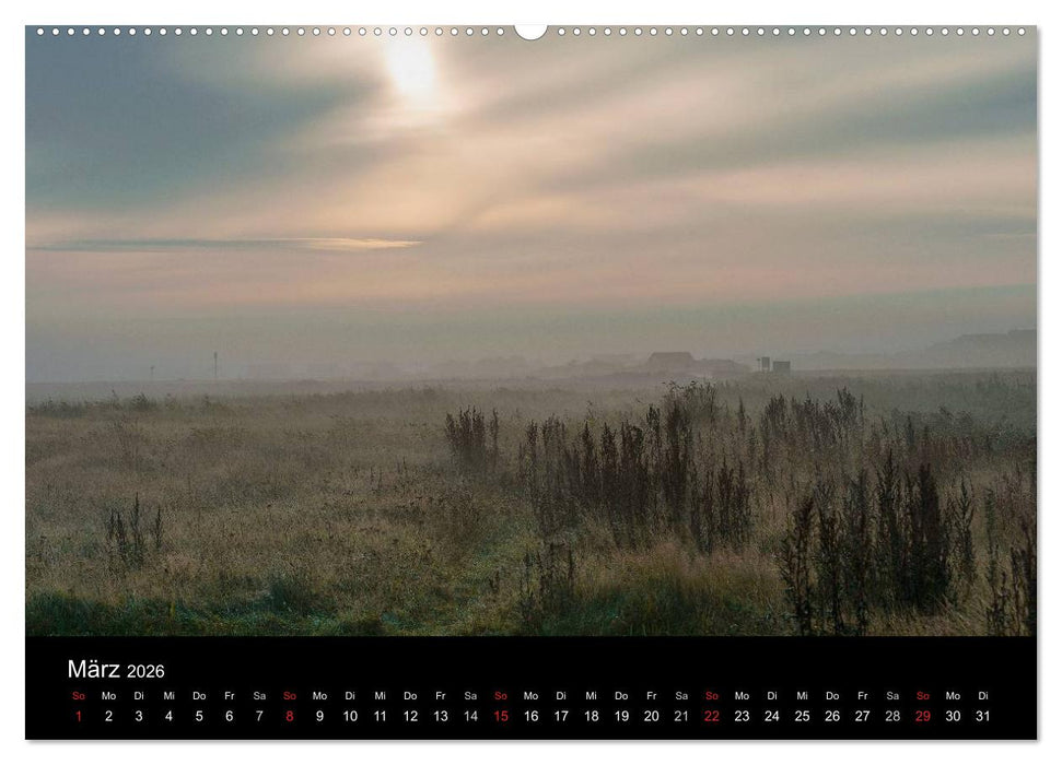 Dänemark Westjütland (CALVENDO Premium Wandkalender 2026)