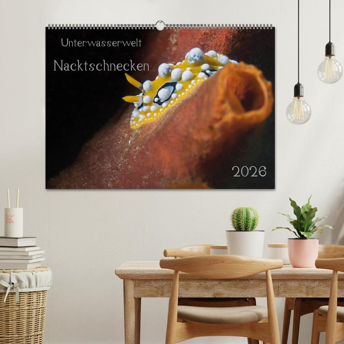 Unterwasserwelt Nacktschnecken (CALVENDO Wandkalender 2026)