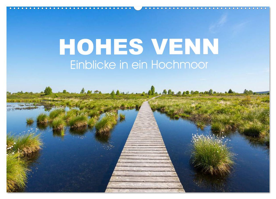 HOHES VENN - Einblicke in ein Hochmoor (CALVENDO Wandkalender 2026)