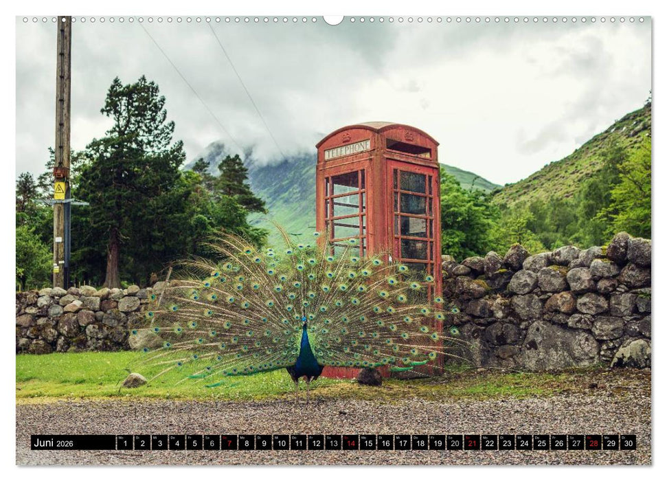 Schottland, Atemberaubender Norden (CALVENDO Premium Wandkalender 2026)