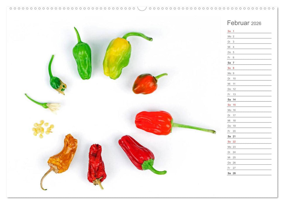 Echt scharf - Der Chili-Küchen-Planer (CALVENDO Premium Wandkalender 2026)