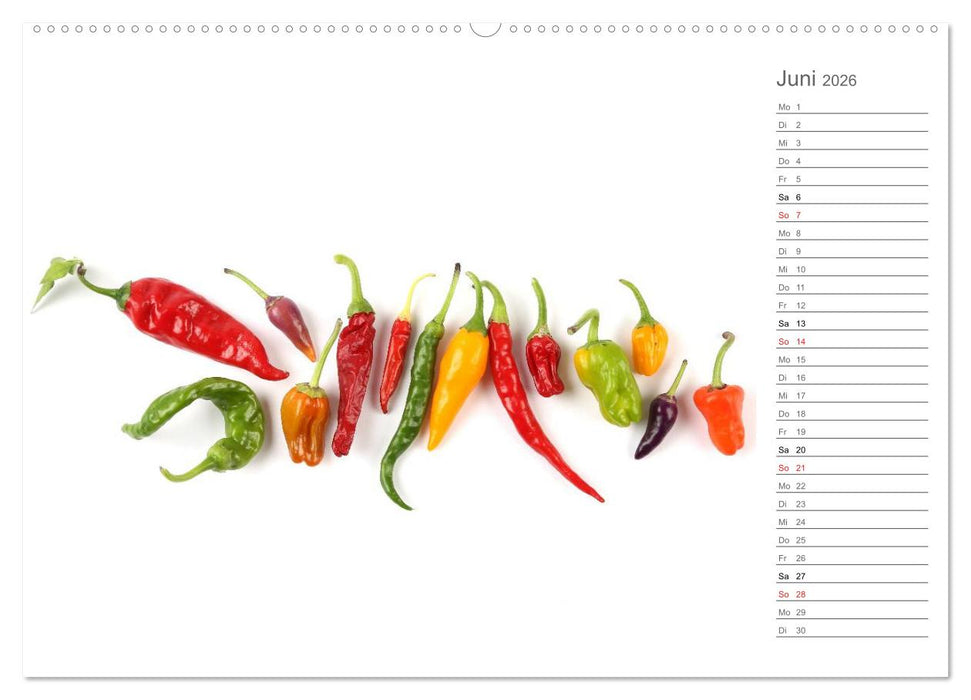 Echt scharf - Der Chili-Küchen-Planer (CALVENDO Premium Wandkalender 2026)