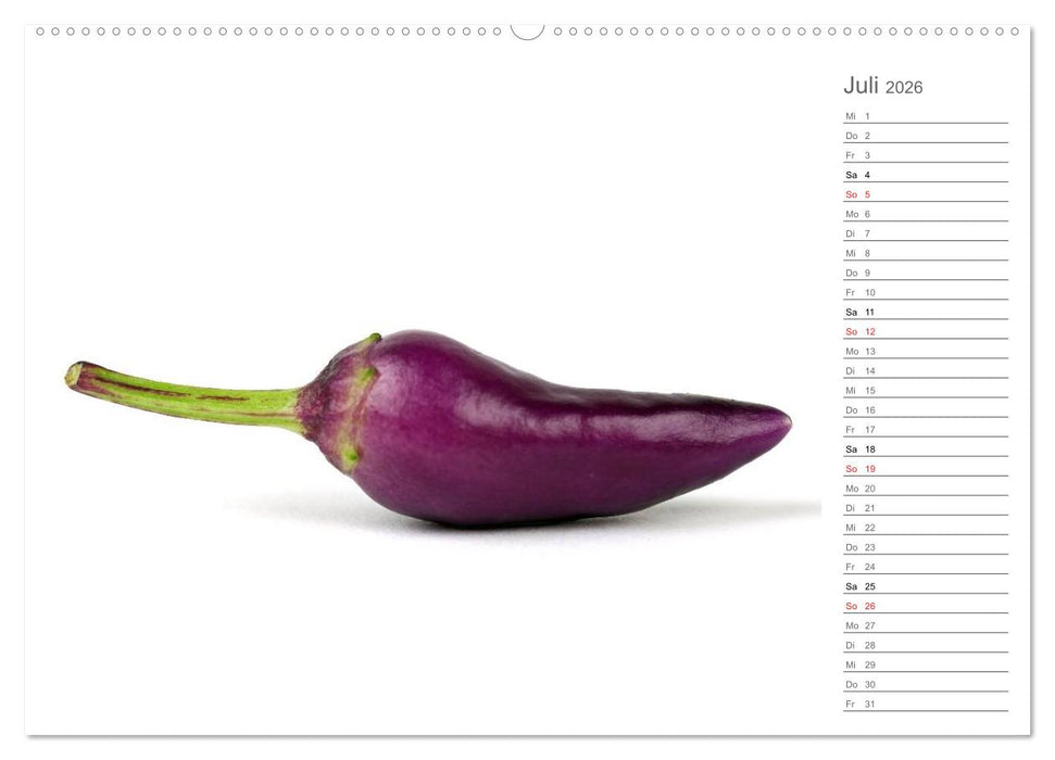 Echt scharf - Der Chili-Küchen-Planer (CALVENDO Premium Wandkalender 2026)