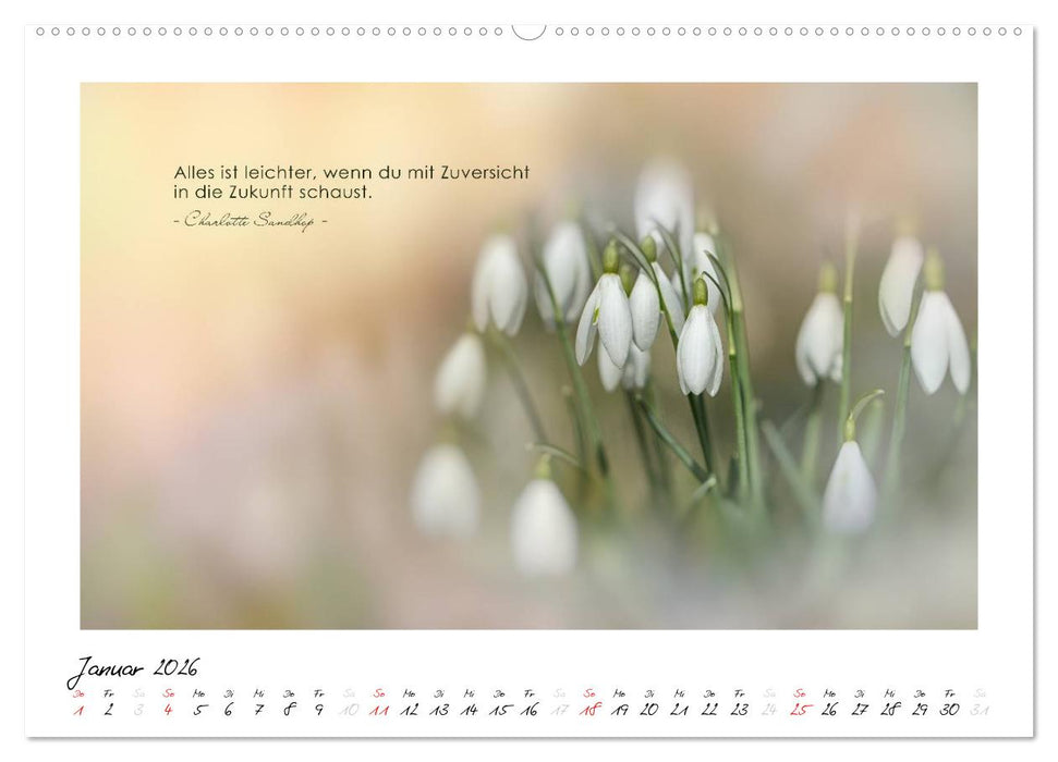 Mit guten Gedanken durch das Jahr (CALVENDO Wandkalender 2026)