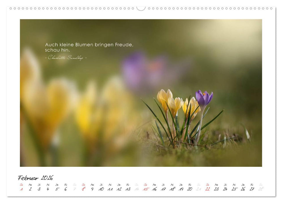 Mit guten Gedanken durch das Jahr (CALVENDO Wandkalender 2026)