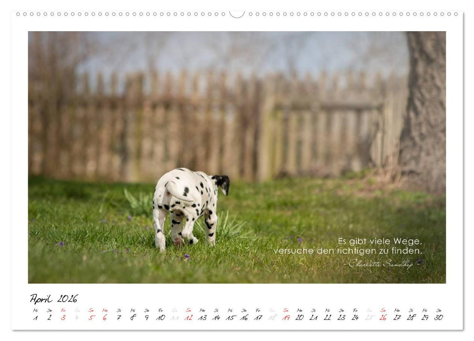 Mit guten Gedanken durch das Jahr (CALVENDO Wandkalender 2026)